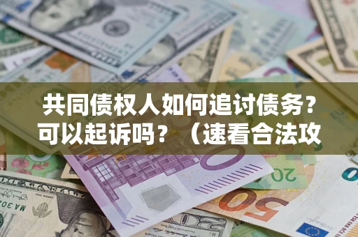 济南共同债权人如何追讨债务？可以起诉吗？（速看合法攻略）